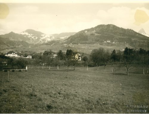 Le Terrain 1929